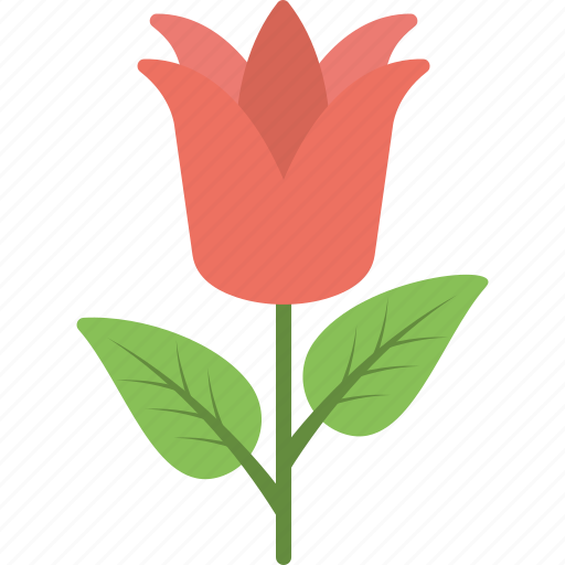 Beautiful flower, flower, greeting flower, red flower, rose icon - Download on Iconfinder