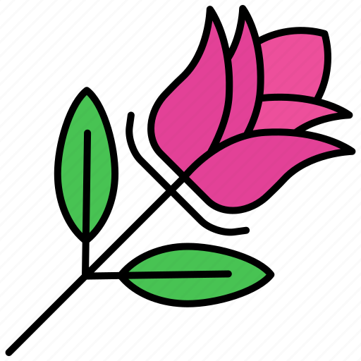 Rose, flower, plant, floral icon - Download on Iconfinder