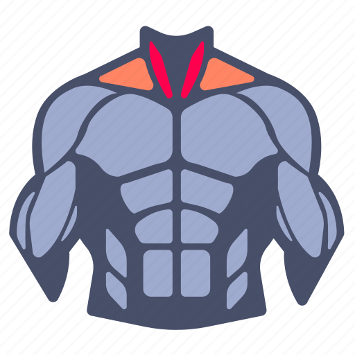 Neck, muscle, muscles, body parts, workout, weight training, exercise icon - Download on Iconfinder