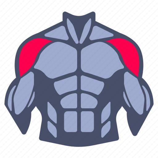 Shoulder, muscle, muscles, body parts, workout, weight training, fitness icon - Download on Iconfinder