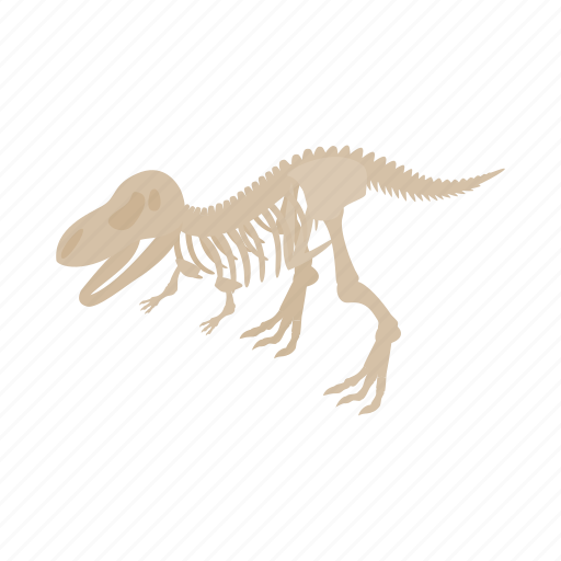 Bone, dinosaur, fossil, isometric, museum, prehistoric, skeleton icon - Download on Iconfinder