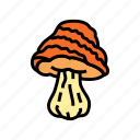 psychedelic, narcotic, mushroom, food, forest, fungi