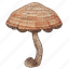 .png, mushroom, shape, fungus, vegetable 