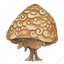 .png, mushroom, shape, vegetable, fungus 