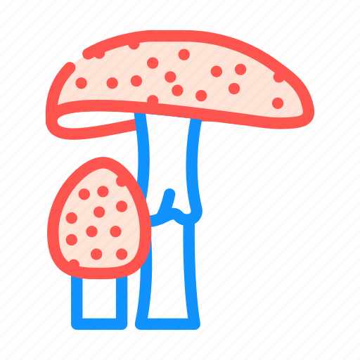 Amanita, mushroom, vegetable, fungus, shitake, porcini icon - Download on Iconfinder