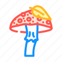 autumn, mushroom, vegetable, fungus, shitake, porcini