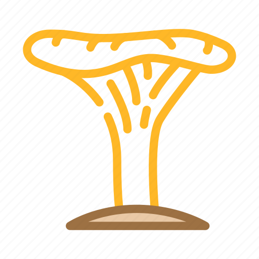 Chanterelle, mushroom, vegetable, fungus, shitake, porcini icon - Download on Iconfinder