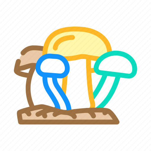 Mushroom, natural, vegetable, fungus, shitake, porcini icon - Download on Iconfinder