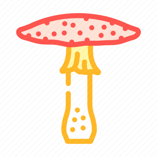 Toadstool, mushroom, vegetable, fungus, shitake, porcini icon - Download on Iconfinder
