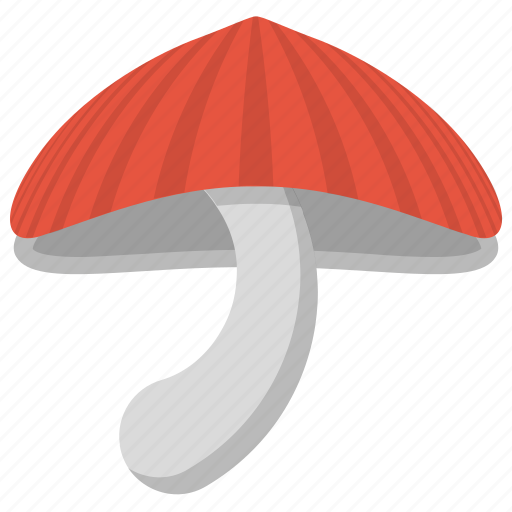 Edible mushroom, fleshy fruit, ingredient, mushroom, toadstool, vegetable icon - Download on Iconfinder