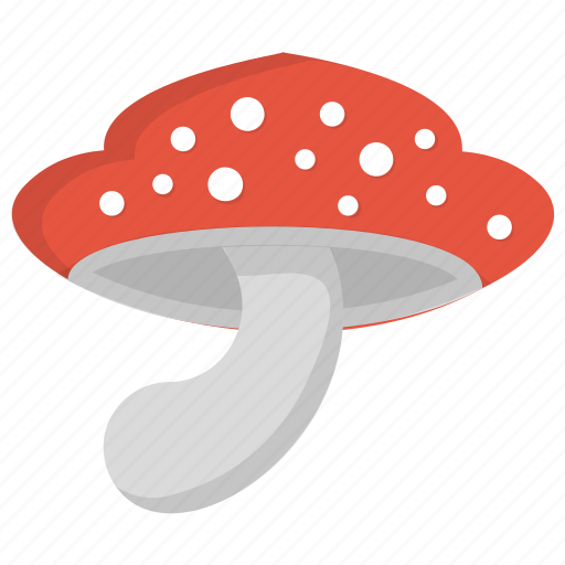 Edible mushroom, fleshy fruit, ingredient, mushroom, toadstool, vegetable icon - Download on Iconfinder