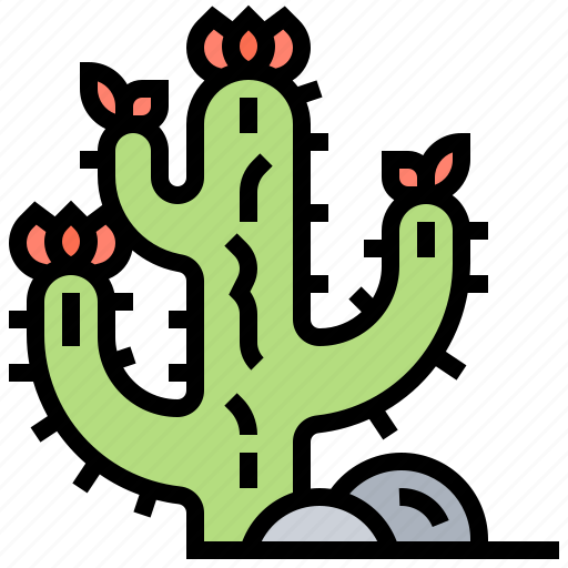 Cactus, desert, plant, succulent, thorn icon - Download on Iconfinder