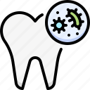 dentistry, dental care, dentist, medical, tooth, bacteria, infection, germ, oral
