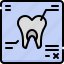 dentistry, dental care, dentist, medical, tooth, xray, radiology, checkup, treatment 
