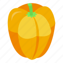 eco, pumpkin, isometric 