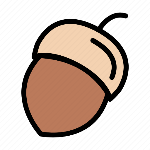 Dryfruit, food, hazelnut, healthy, nature icon - Download on Iconfinder