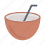 coconut, juice, drink, straw, fruit 