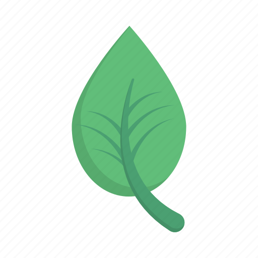 Leaf, green, nature, eco, spring icon - Download on Iconfinder