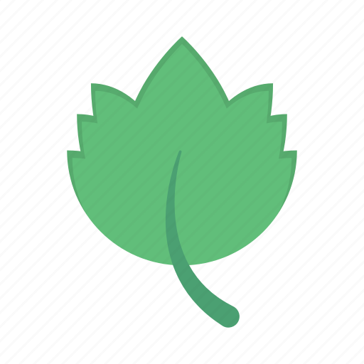 Leaf, green, nature, park, garden icon - Download on Iconfinder