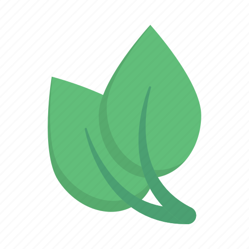Leaf, leaves, nature, green, eco icon - Download on Iconfinder