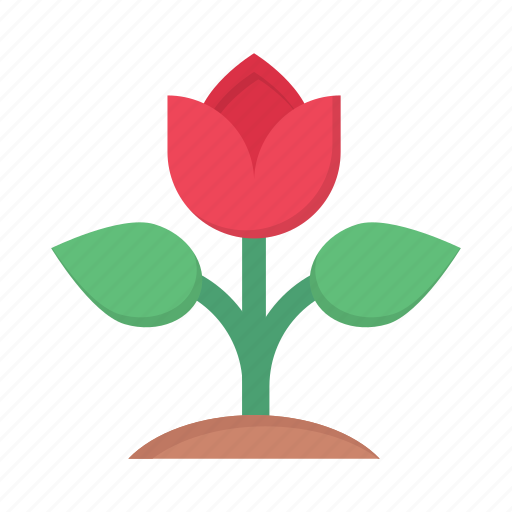 Rose, flower, plant, nature, spring icon - Download on Iconfinder
