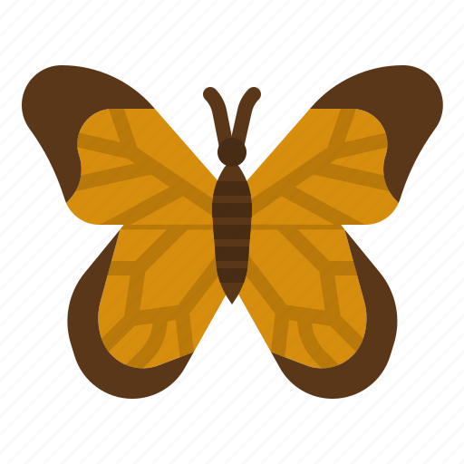 Butterfly, animals, zoology, entomology, insect icon - Download on Iconfinder