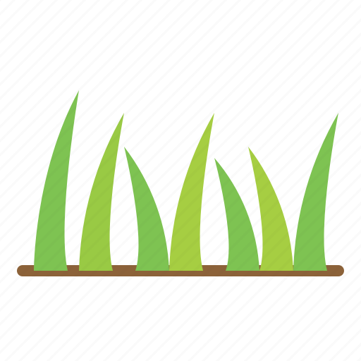 Grass, turf, plant, lawn, nature, meadow, garden icon - Download on Iconfinder