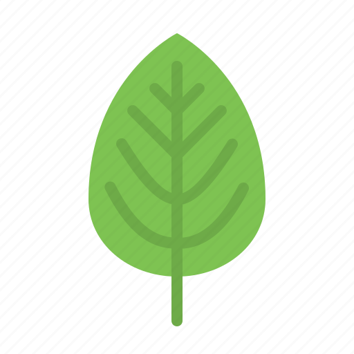 Leaf, plant, nature, natural, foliage, garden icon - Download on Iconfinder