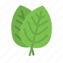 leaf, plant, nature, natural, foliage, garden