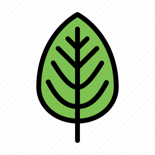 Leaf, plant, nature, natural, foliage, garden icon - Download on Iconfinder