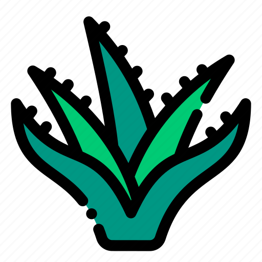 Aloe, leaf, cosmetic, beauty, herbal icon - Download on Iconfinder