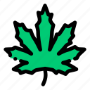 marijuana, leaf, organic, cannabis, medicine