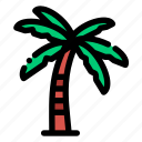 palm, summer, tropical, plant, tree