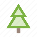 christmas, fir, forest, nature, plant, tree, wood