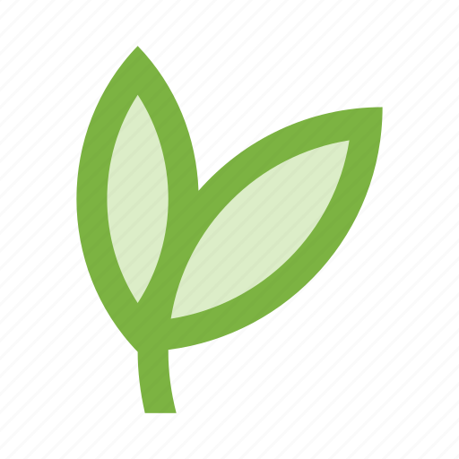 Branch, flower, garden, leaf, leaves, nature, plant icon - Download on Iconfinder
