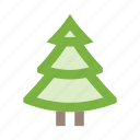 christmas, forest, nature, pine, plant, tree, wood