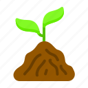 soil, plant, nature, ecology, agriculture, growth, grow