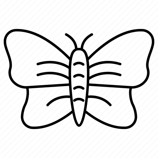 Butterfly, moths, fly, bug, insect icon - Download on Iconfinder