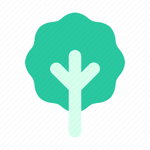 Tree, nature, park, plant, ecology icon - Download on Iconfinder
