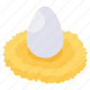 egg, healthy diet, healthy meal, nutritious diet, eggshell