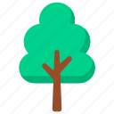 tree, nature, forest, wood, environment