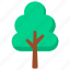 tree, nature, forest, wood, environment 
