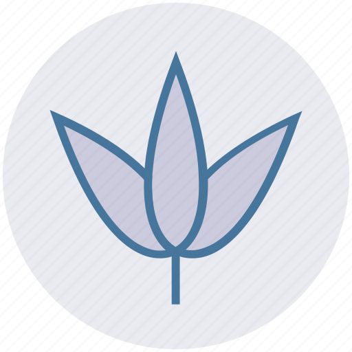 Flower, garden, meadow, nature, park, plant icon - Download on Iconfinder