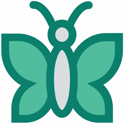 Animal, butterfly, garden, insect, spring, wings icon - Download on Iconfinder