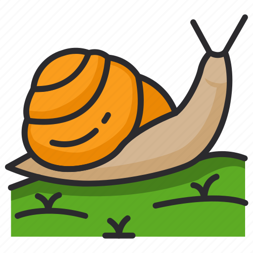 Snail, shell, insect, nature, spring icon - Download on Iconfinder