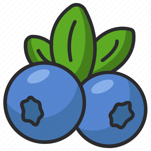 Blueberry, berry, fruits, berries, fresh, fruit, food icon - Download on Iconfinder