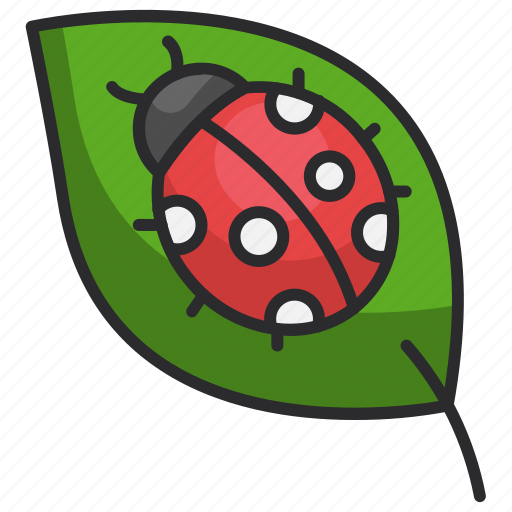 Spring, bug, insect, nature, leaf, ladybugs, garden icon - Download on Iconfinder