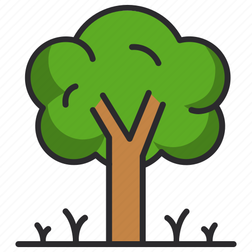 Tree, green plants, nature, plant, spring, forest icon - Download on Iconfinder