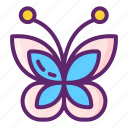 butterfly, insect, nature, bug