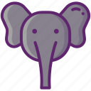 elephant, zoo, animal, wild